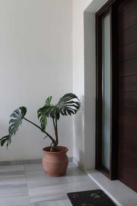 Zoe' S Place In Chania Apartament